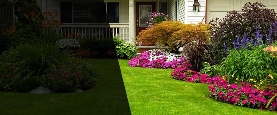 Big Bend Landscapers