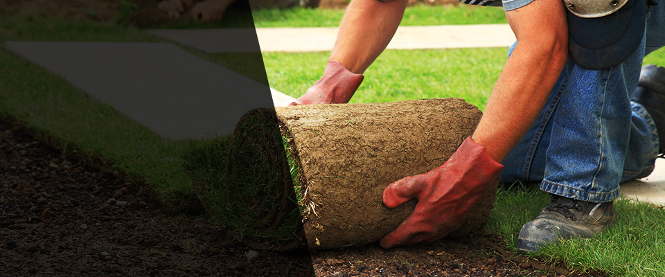 Big Bend Landscapers